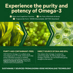 VEETAGYO Vegan 1200mg Omega 3 Gummies 60Cts