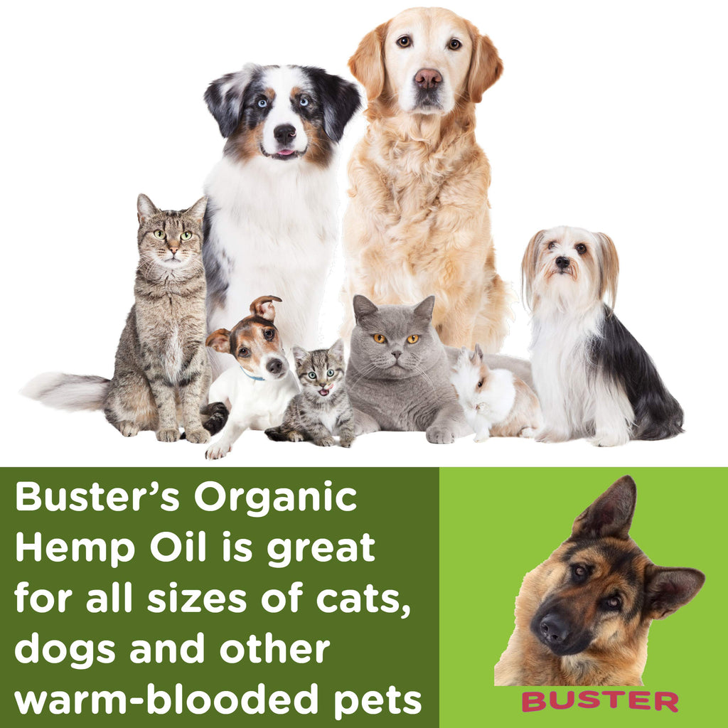 Buster's Hemp Oil for Dogs & Cats, Calm, Joint, Coat, 2-Pack 30ml