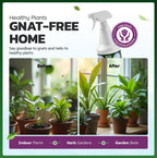 Eco Defense Plant Gnat Spray, Fungus Gnat Killer for Houseplant Soil