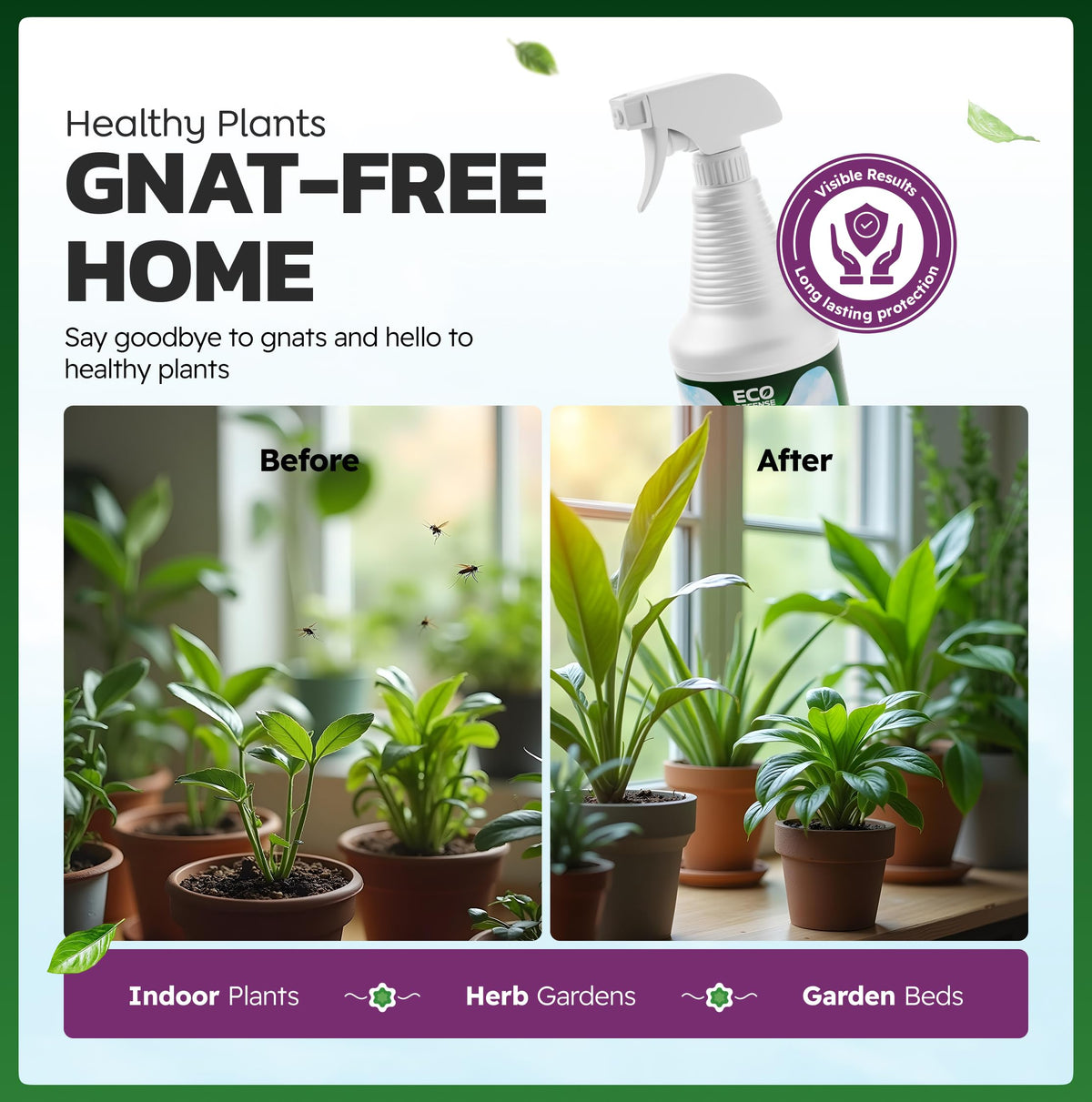 Eco Defense Plant Gnat Spray, Fungus Gnat Killer for Houseplant Soil