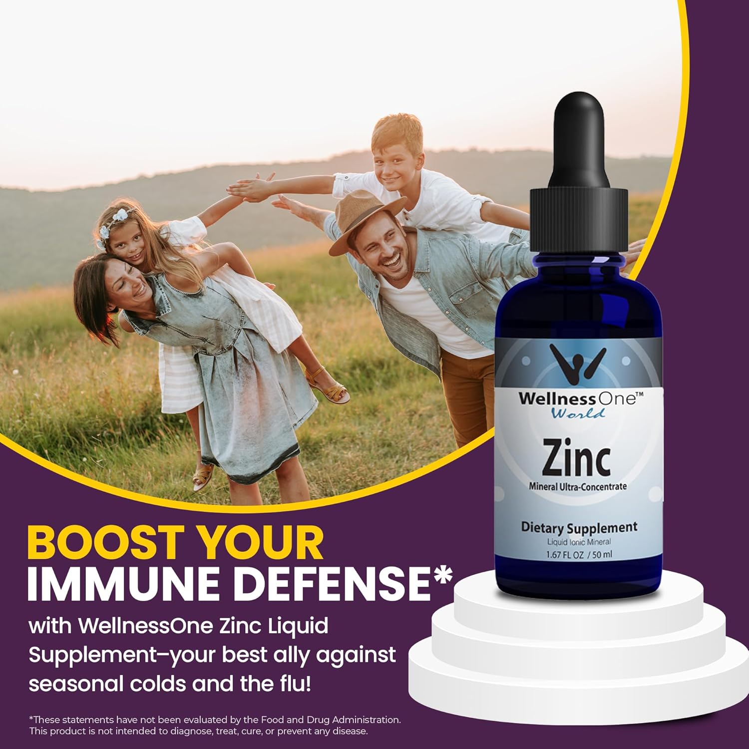 Buy now WellnessOne Ionic Liquid Zinc Drops for Immunity Support - Highly Absorbable Zinc Liquid Supplements for Kids & Adults - USA Tested, Vegan, Non-GMO, Gluten-Free, 1.67 fl oz at indiglob india