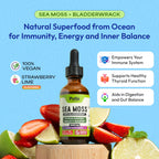 Pella Nutrition Sea Moss Drops with Bladderwrack - Strawberry Lime, 60 mL