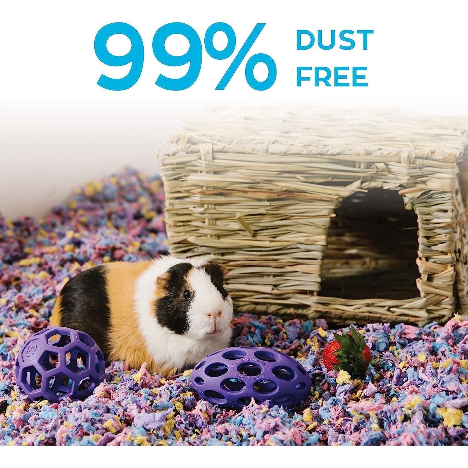 Buy now Carefresh 99% Dust-Free Confetti Natural Paper Small Pet Bedding with Odor Control, 23 L at indiglob india