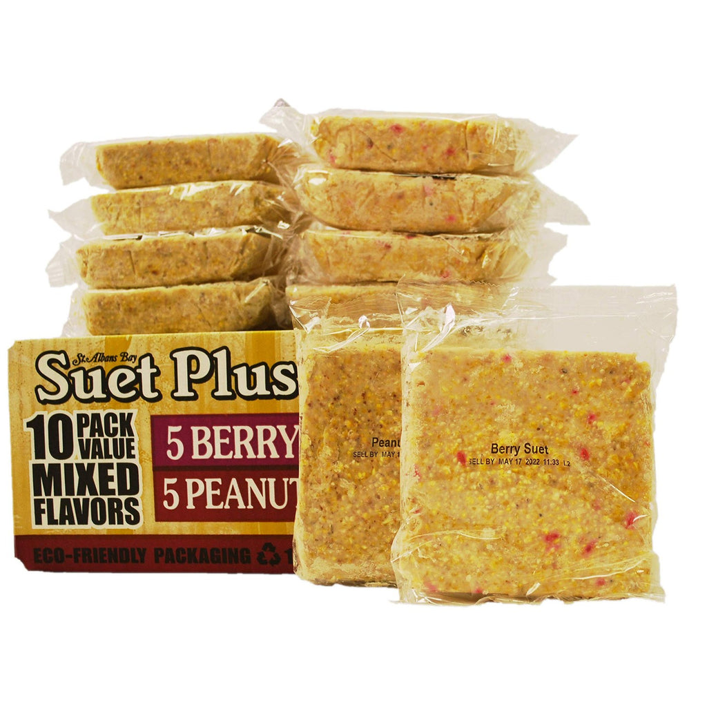 ST. ALBANS BAY SUET PLUS Suet Cake Variety Packs | 11 oz. Wild Bird Suet Cakes | (Peanut and Berry, 10 Pack)