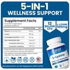 Lysine Cold Sore Treatment, L-Lysine Capsules with Probiotics & Vitamin C | Stops Outbreaks Before They Start, Internal Lysine Defense, Not A Topical Cover-up For Cold Sores