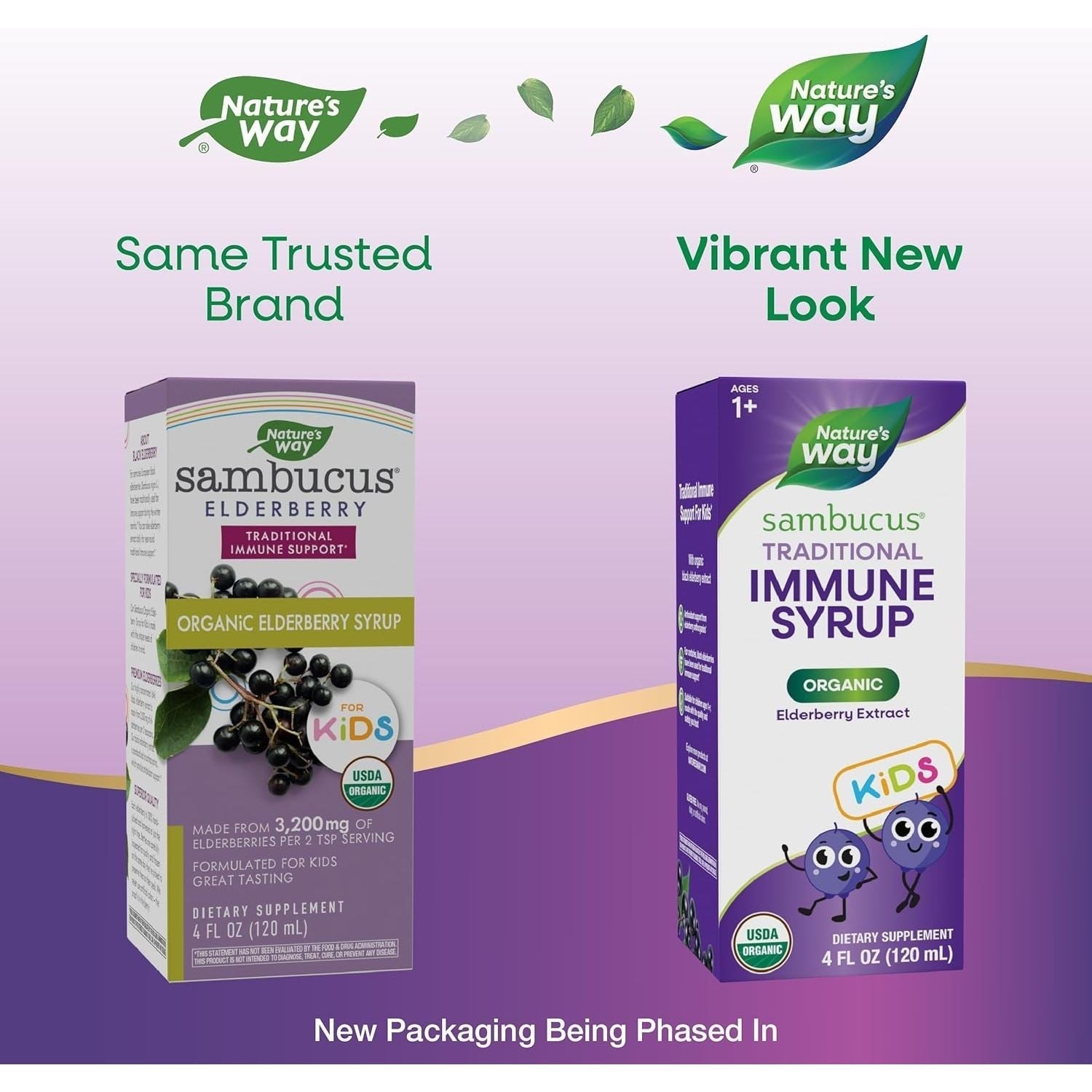 Buy now Nature's Way Sambucus Elderberry Traditional Immune Syrup for Ages 1+, Traditional Immune Support*, Antioxidant Support*, Black Elderberry Extract, USDA Certified Organic, 4 Fl Oz at indiglob india
