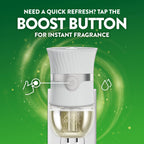 Air Wick Scented Oils Plug in Refill, Summer Delights, Essential Oil, 5ct