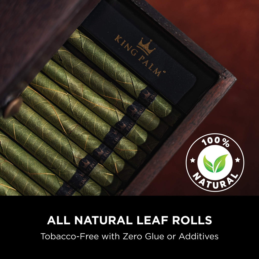 King Palms Rollie Size Cones Organic Black 25 Count (Pack of 1)