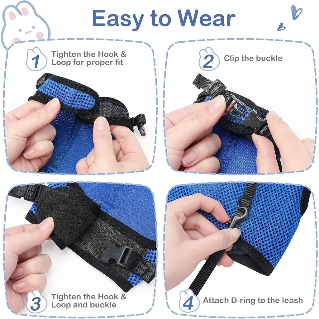 Buy now PETTOM Bunny Rabbit Harness with Stretchy Leash Cute Adjustable Buckle Breathable Mesh Vest for Kitten Small Pets Walking (Blue,S) at indiglob india