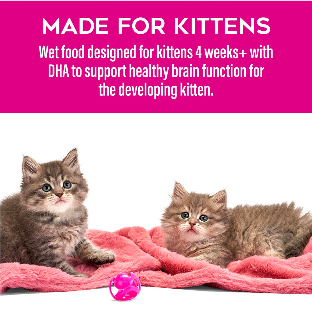 Tiki Cat Baby Pate Wet Kitten Food, Variety Pack, 2.4 oz. Cans (12 Count)
