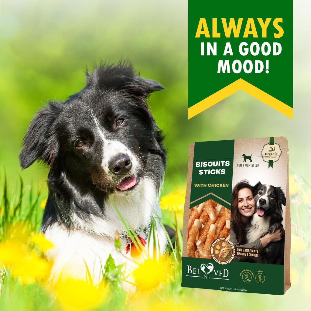Dog Treats Biscuits Sticks Chicken Wrapped Human Grade Meat 10.6 oz - Natural Dried Snacks Rawhide - Free & Grain Free Long Lasting Chews for Large & Small Dogs - Best for Training & Healthy Teeth