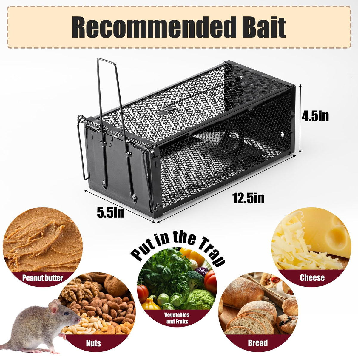 2 Pack Humane Rat Traps 12.5"x5.5"x4.5", Reusable Mouse Traps for Indoor/Outdoor Use, No-Kill Live Capture for Chipmunks, Rats, Mice