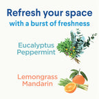 Buy now Clorox Disinfecting Mist, Lemongrass Mandarin, Household Essentials, 3 Refills, 16 Fl Oz Each at indiglob india