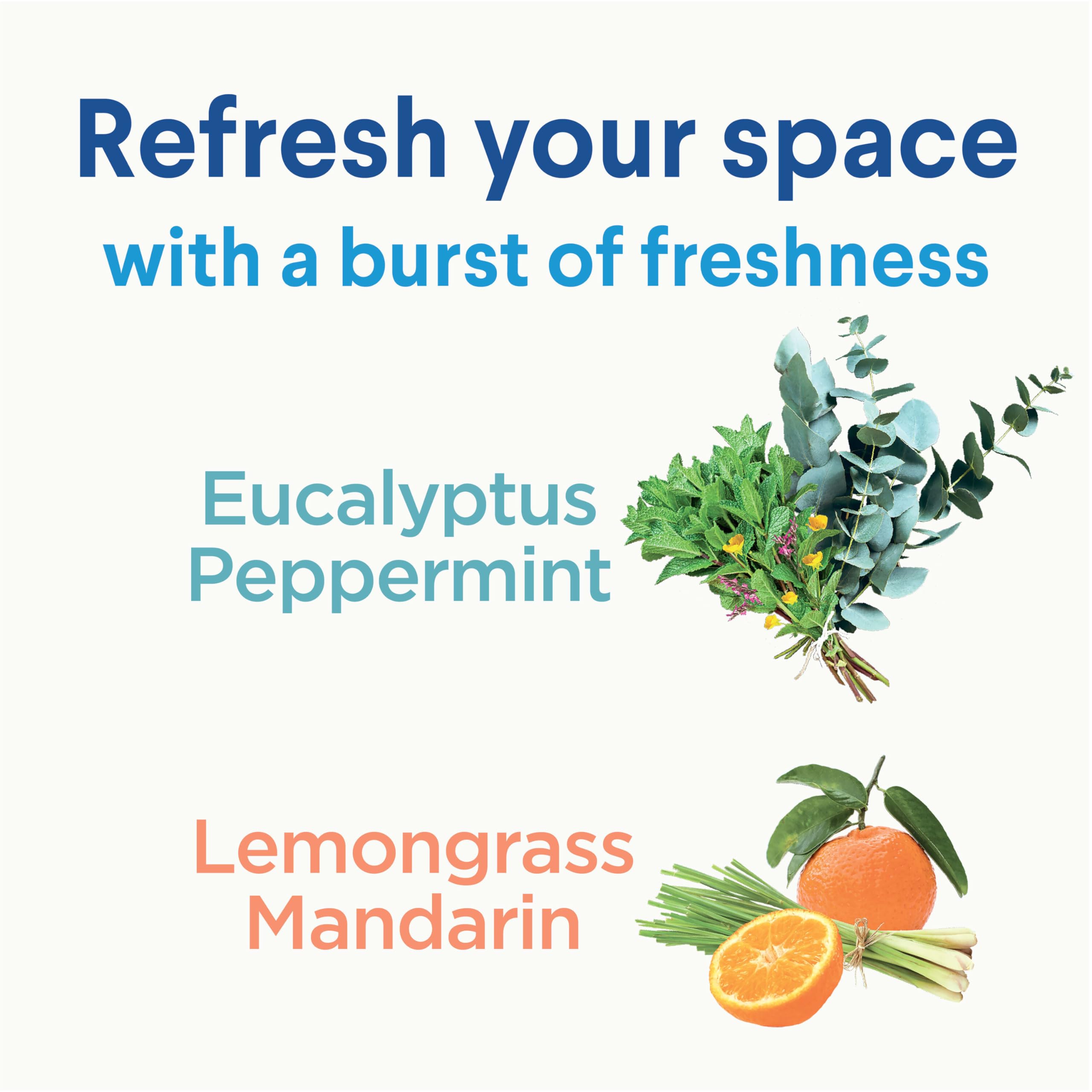 Buy now Clorox Disinfecting Mist, Lemongrass Mandarin, Household Essentials, 3 Refills, 16 Fl Oz Each at indiglob india