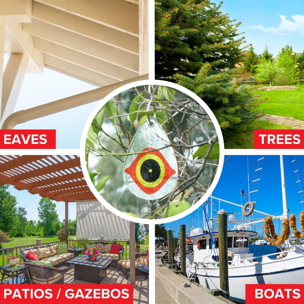 Buy now Bird B Gone - Reflective Eye Bird Diverters - Set of 5 - Foil Deterrent Mimics Predator Eyes - Scares Birds Away - for Trees, Patios, Gazebos, Boats, Etc - Durable Outdoor Plastic - 360° Rotation at indiglob india