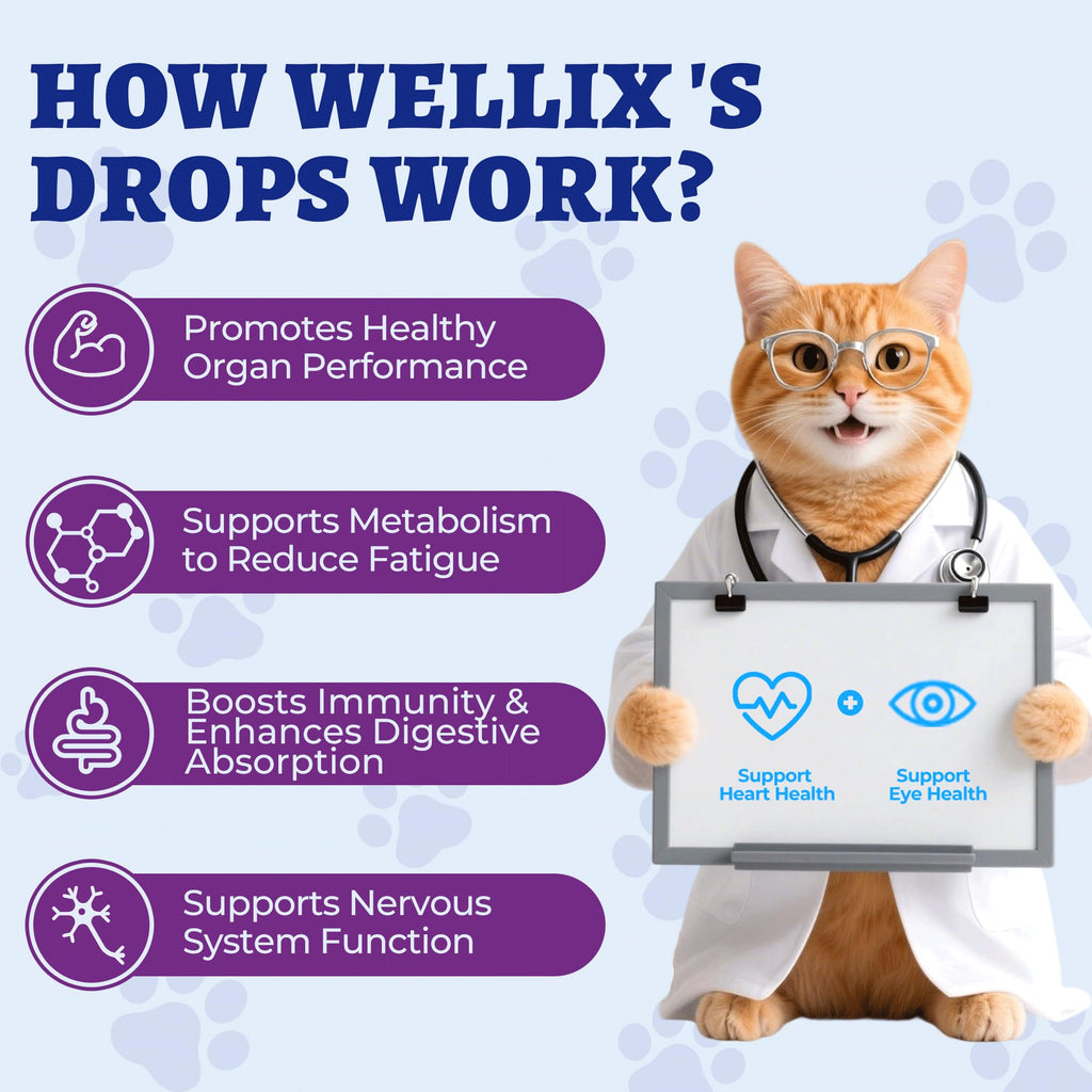 Wellix Liquid Taurine Drops for Dogs &Cats, Supports Heart & Vision 4 fl oz