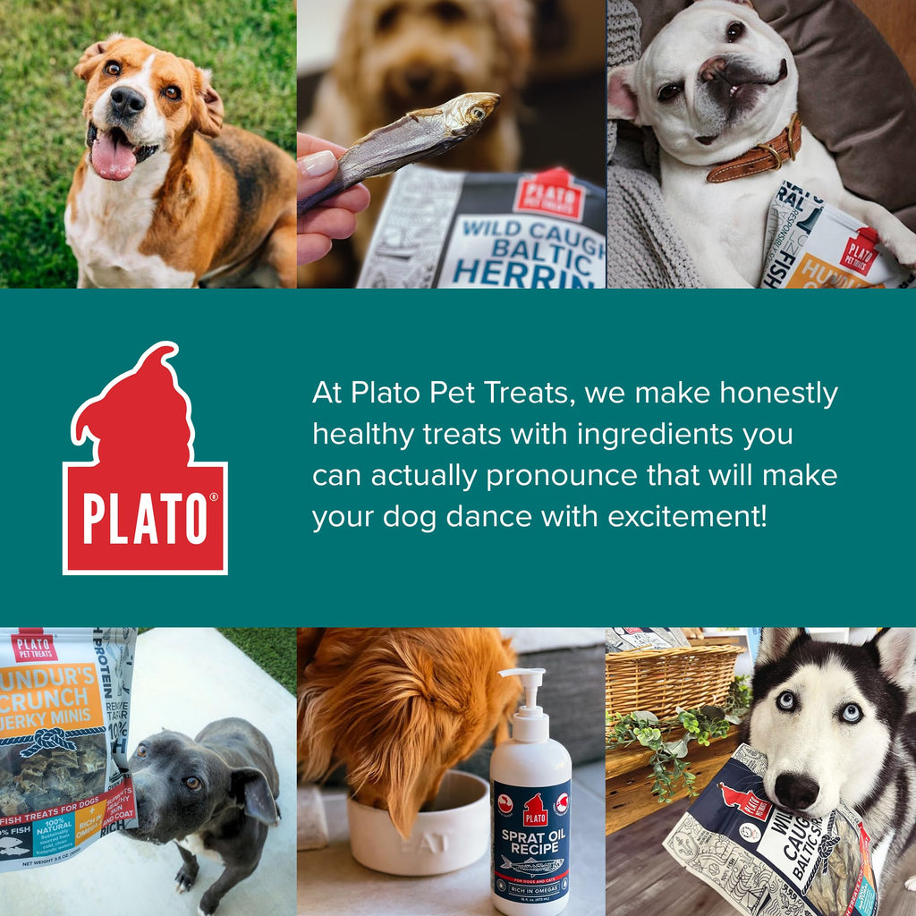 Plato Pet Treats Fish Dog Treats, Wild Caught Baltic Herring, 3 oz, 2 Pack