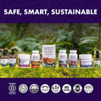 Buy now Host Defense MyCommunity Capsules - 17 Species Blend Mushroom Supplement for Immune Support - Herbal Aid with Lion's Mane, Reishi. Chaga, Cordyceps, Turkey Tail & More - 120 Capsules (60 Servings)* at indiglob india