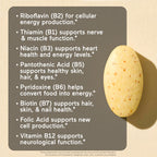 NatureWise Super Vitamin B Complex for Women and Men - with Vitamin C, Folic Acid Biotin B1 B2 B3 B6 B12 - Support Cellular Energy & Mental Clarity - Vegan, Gluten & Dairy Free, Non-GMO - 60 Tablets