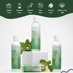 Buy now EDEN BodyWorks Peppermint Tea Tree Shampoo | Clarifying Shampoo for Curly Hair | Perfect for Build Up Cleansing | 8oz at indiglob india