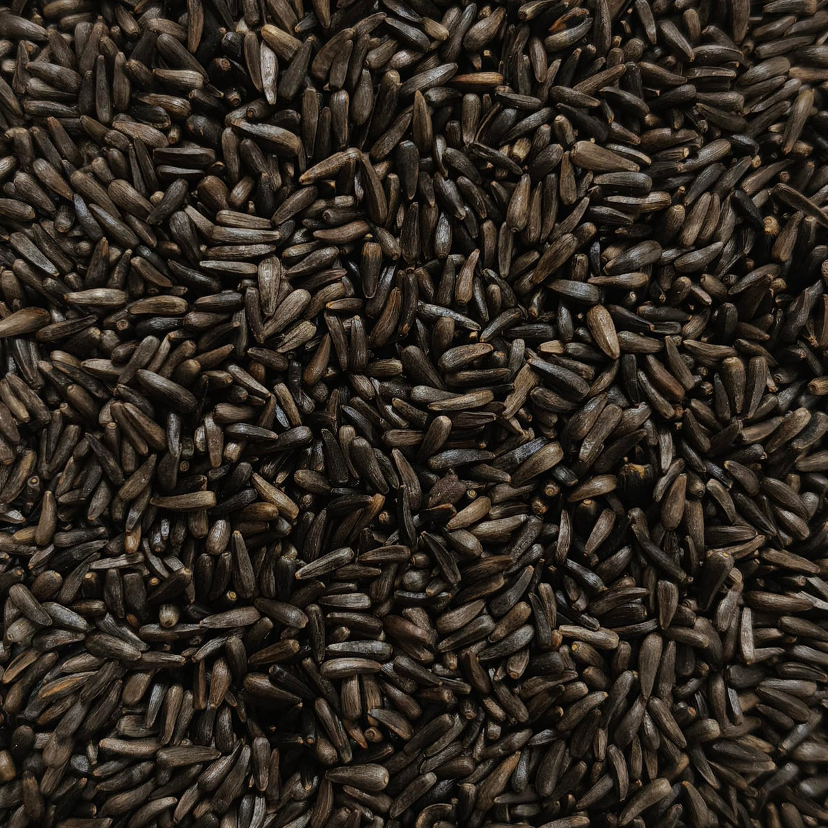 Happy Wings 10LB Thistle Seed Bird Food, 100% Natural, Extra Clean, No Grow