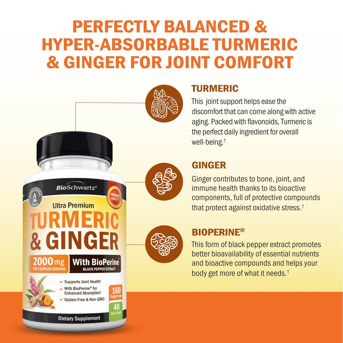 Turmeric and Ginger Supplement with BioPerine, 160 Capsules
