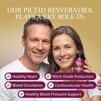 VINIA Blood Flow | Piceid Resveratrol Capsules | Vegan, Non-GMO, 30 Count | Heart Health | Healthy Blood Pressure Support* | Nitric Oxide Production | Red Grape Antioxidant Supplement