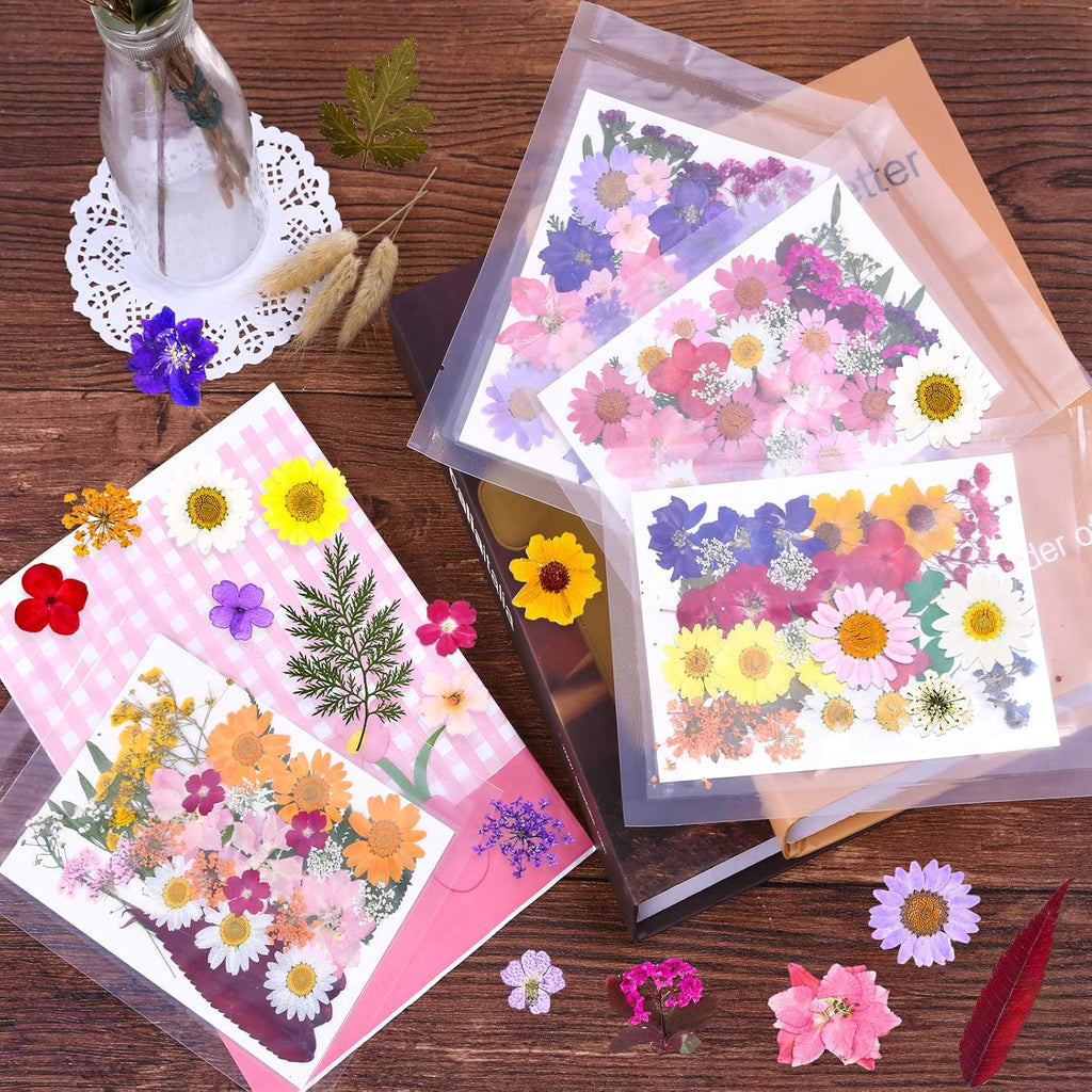 Buy now 140 Pcs Dried Pressed Flowers for Resin, Real Pressed Flowers Dry Leaves Bulk Natural Herbs Kit for Scrapbooking DIY Art Crafts, Epoxy Resin Jewelry Molds, Candle, Soap Making, Nails Décor at indiglob india