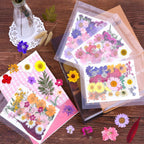 Buy now 140 Pcs Dried Pressed Flowers for Resin, Real Pressed Flowers Dry Leaves Bulk Natural Herbs Kit for Scrapbooking DIY Art Crafts, Epoxy Resin Jewelry Molds, Candle, Soap Making, Nails Décor at indiglob india