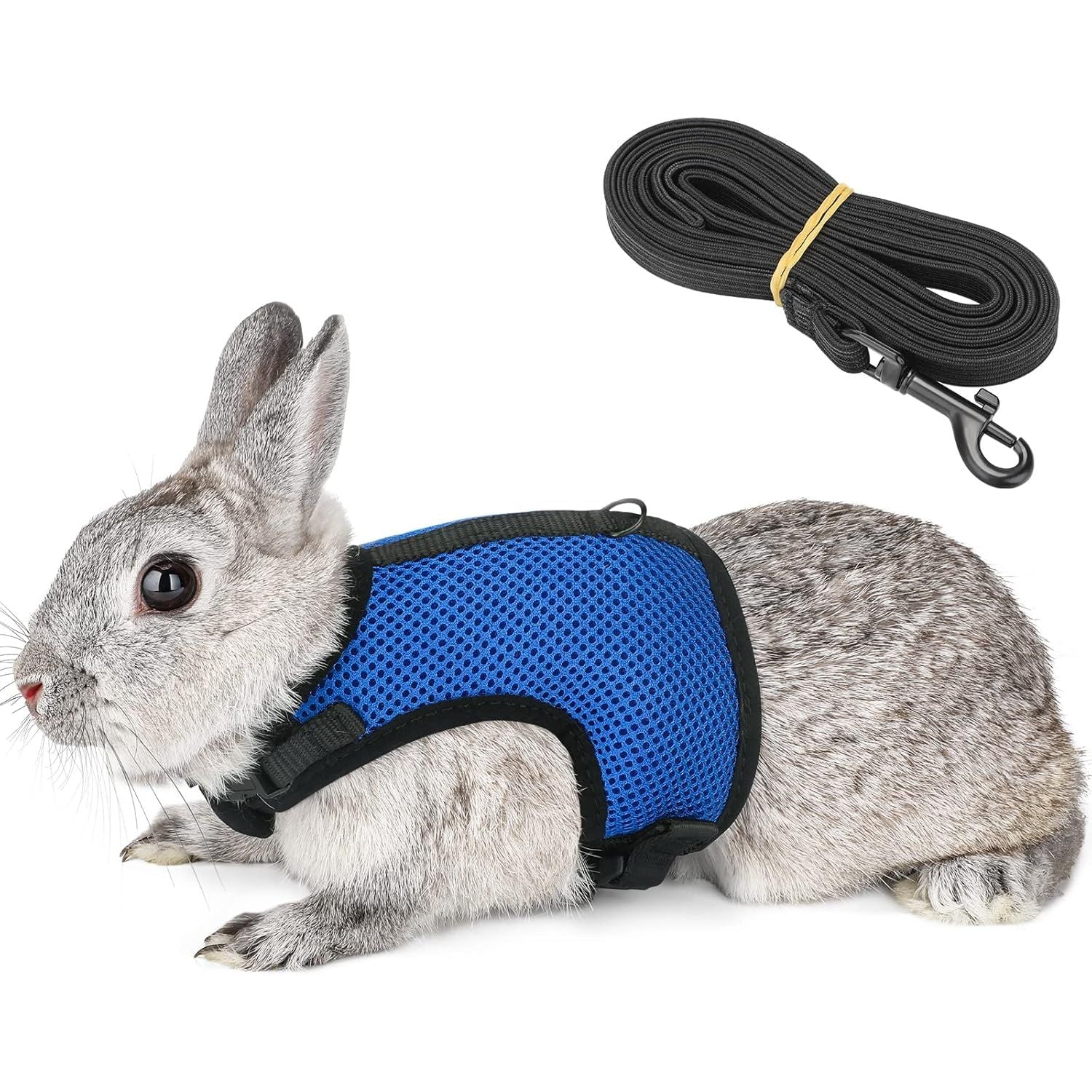 Buy now PETTOM Bunny Rabbit Harness with Stretchy Leash Cute Adjustable Buckle Breathable Mesh Vest for Kitten Small Pets Walking (Blue,S) XS(Chest:7.87-10.6 in) Blue at indiglob india