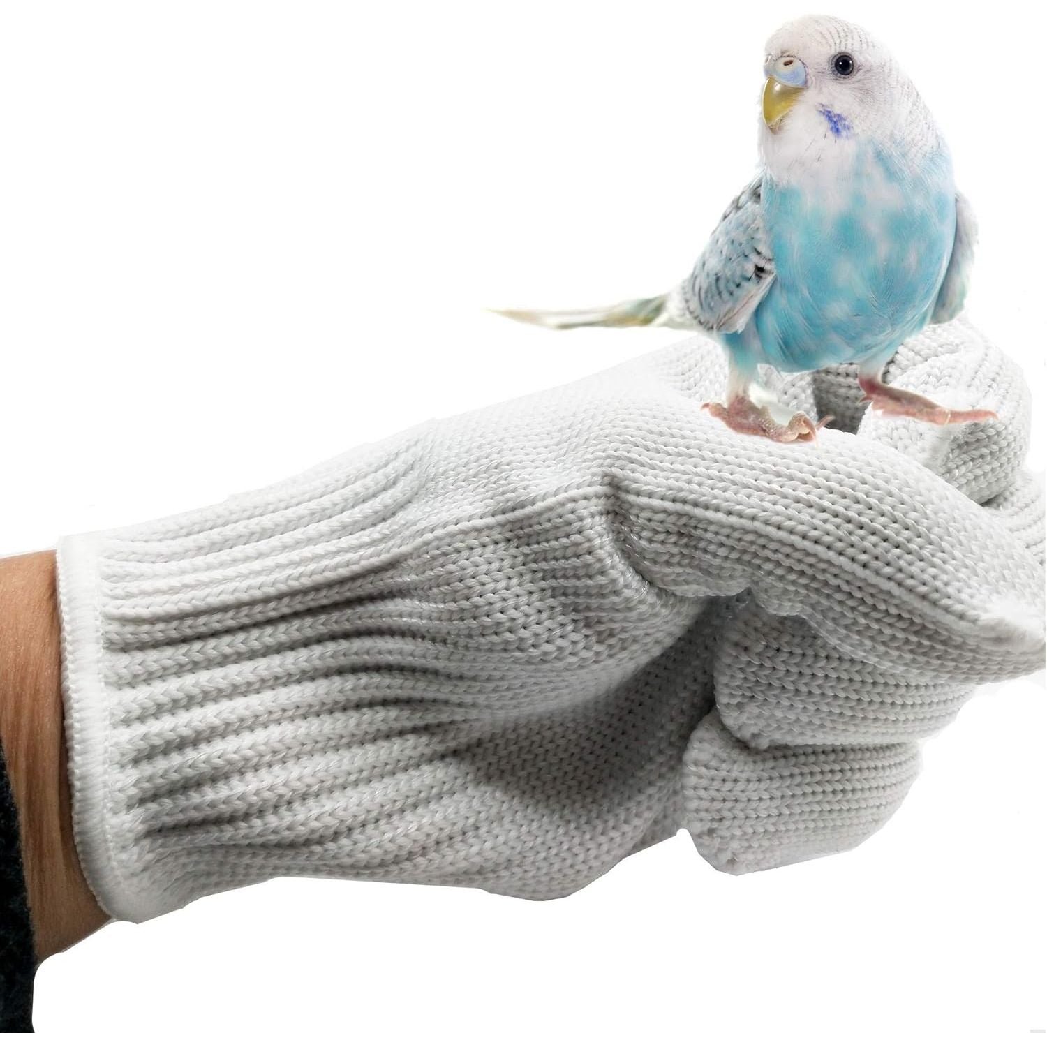 Buy now alfyng Bird Training Anti-Bite Parrot Chewing Protective Gloves, Small Animal Handling Gloves for Parrotlets Cockatiels Finch Macaw (1 Pair White) White at indiglob india