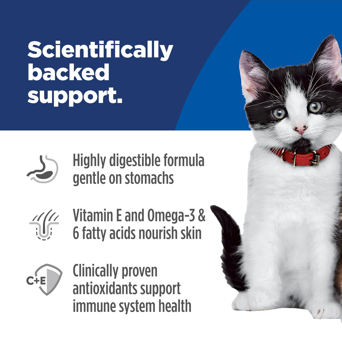 Hill's Science Diet Kitten Formula Sensitive Stomach & Skin Wet Cat Food