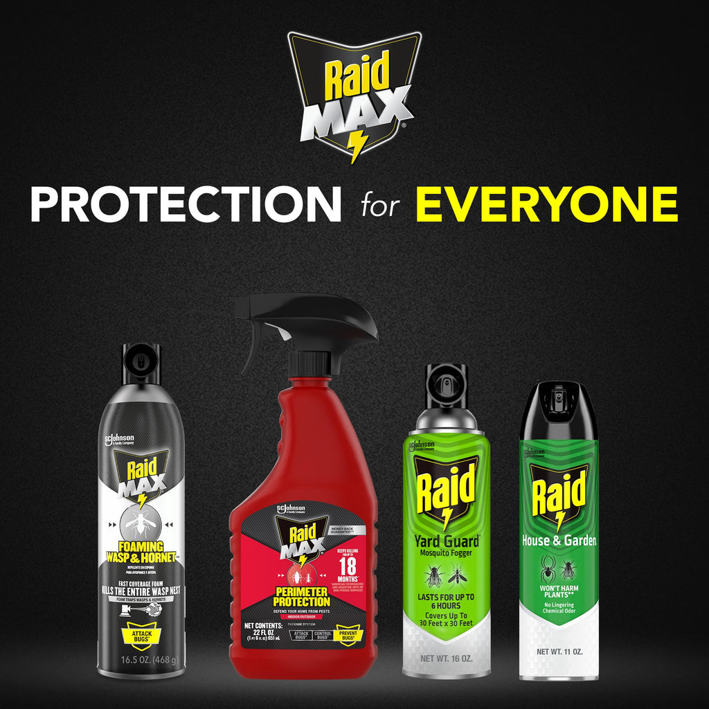 Raid MAX Foaming Wasp & Hornet Killer Bug Spray, 16.5 oz