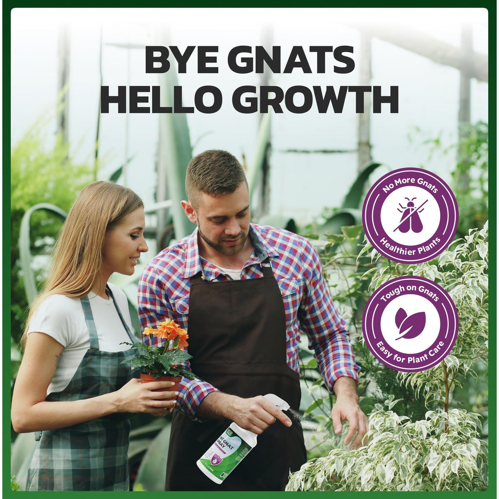 Eco Defense Plant Gnat Spray, Fungus Gnat Killer for Houseplant Soil