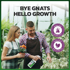 Eco Defense Plant Gnat Spray, Fungus Gnat Killer for Houseplant Soil
