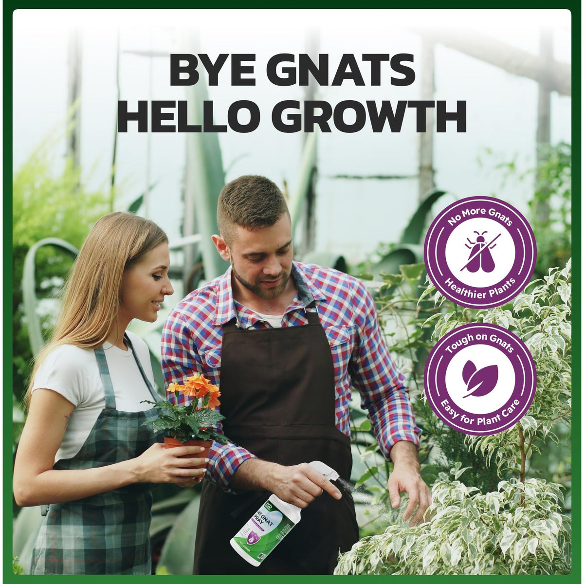 Eco Defense Plant Gnat Spray, Fungus Gnat Killer for Houseplant Soil