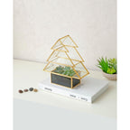Buy now Christmas Tree Glass Terrarium- 8" Festive Planter for Holiday Home Decor- Add Xmas Cheer w DIY Succulents, Lights & Ornaments- Tabletop Centerpiece or Mantel, Office Decorations- Plant Lovers Gift at indiglob india