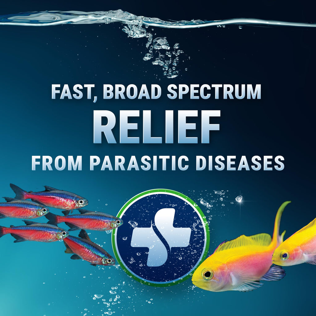 Fritz Aquatics ParaCleanse Provides Fast Relief from Parasitic Diseases (20-Count)