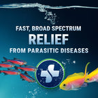 Fritz Aquatics ParaCleanse Provides Fast Relief from Parasitic Diseases (20-Count)
