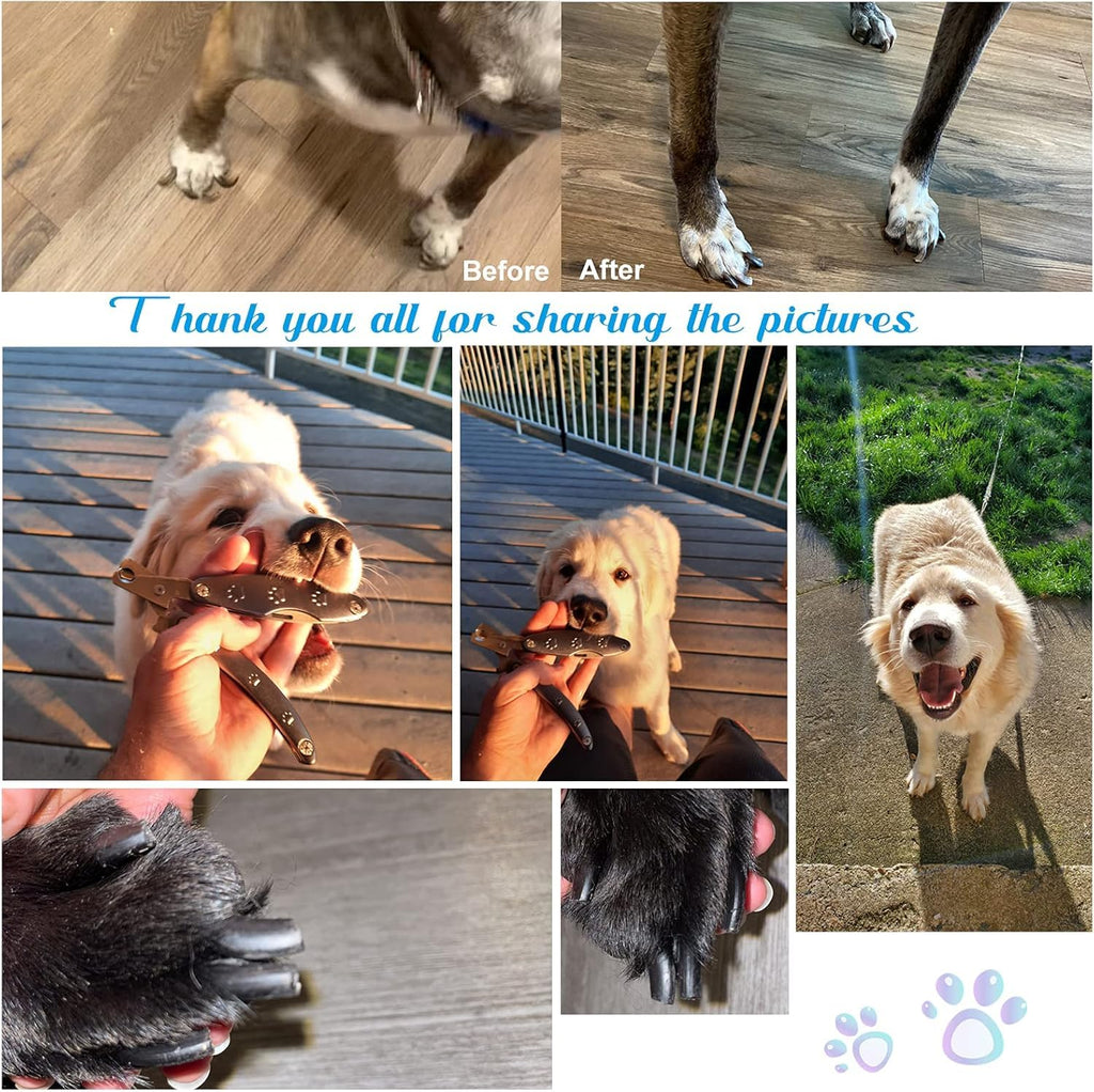 Best Dog Nail Clippers for Anxiety Sensitive Dogs with Thick Nail