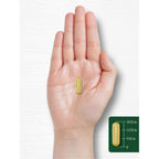 Carlyle Berberine with Ceylon Cinnamon | 60 Capsules | Vegetarian, Non-GMO, Gluten Free