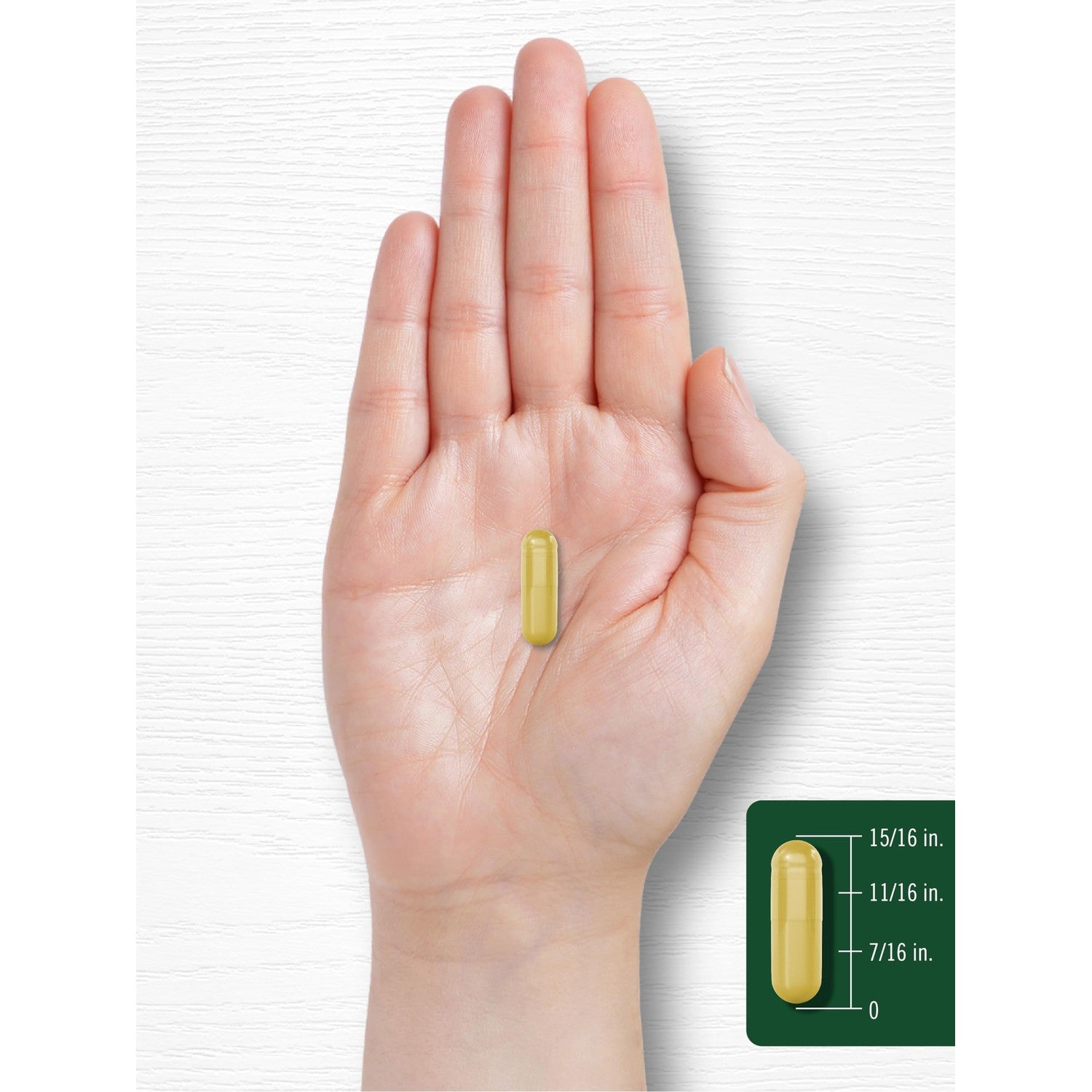 Carlyle Berberine with Ceylon Cinnamon | 60 Capsules | Vegetarian, Non-GMO, Gluten Free