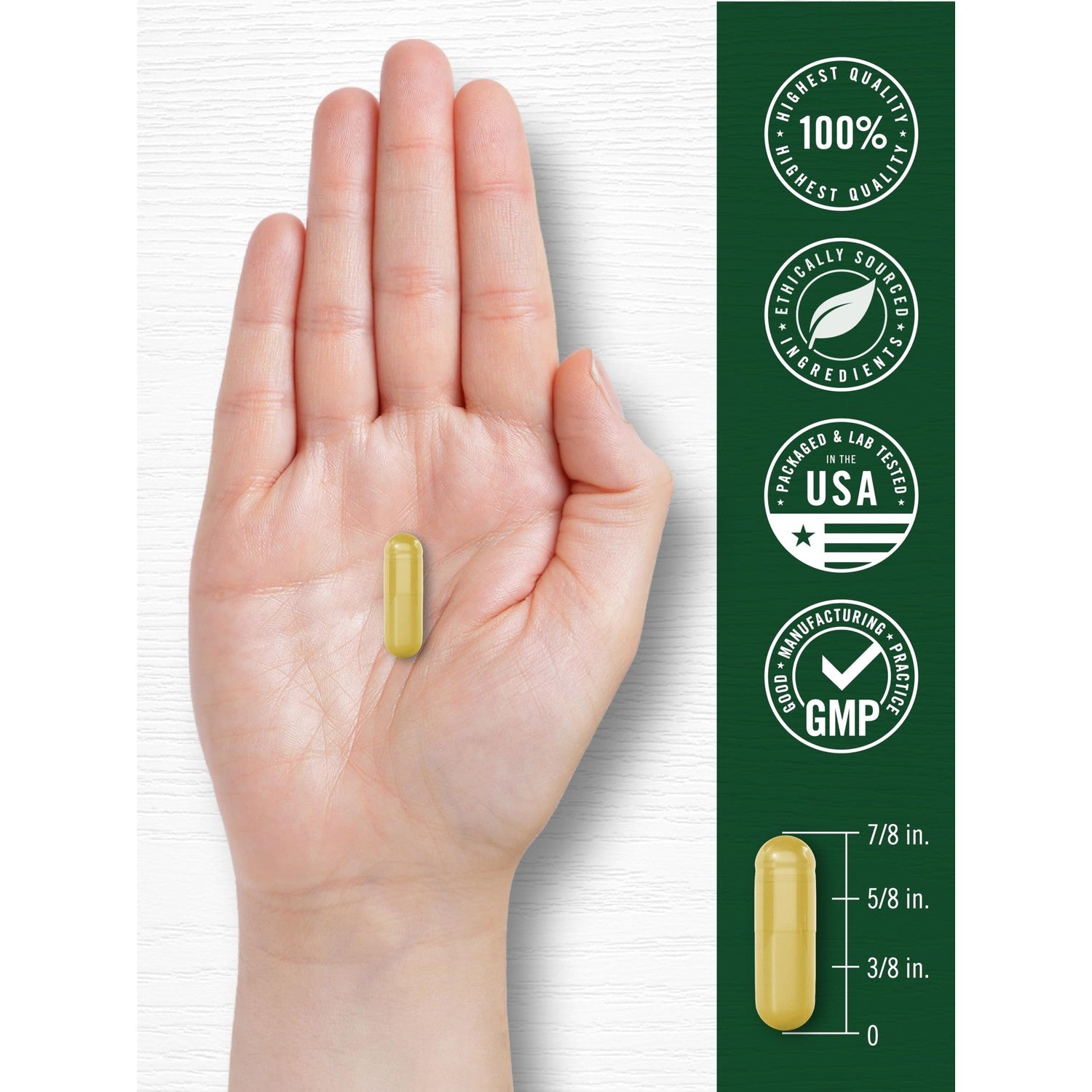 Carlyle Berberine HCL Supplement | 500,000mcg | 60 Capsules | Vegetarian, Non-GMO, Gluten Free