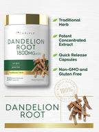 Carlyle Dandelion Root Extract | 300 Capsules | Herb Supplement