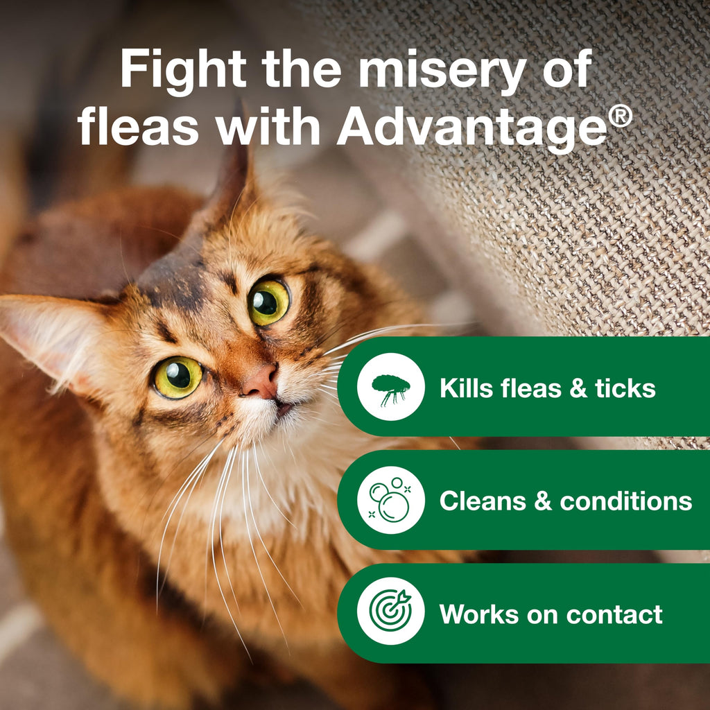 Advantage Treatment Shampoo for Cat and Kittens, Kills Fleas & Ticks, 8 oz.