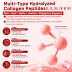 2Pack Sugar-Free Hydrolyzed Collagen Peptide Filled Gummies for Women & Men, with 1500mg Protein Type I,II,III,V,X, 5000mcg Biotin Vitamin C A E D3 B6 B12 for Immune Digestion Skin Hair Nails, Bone