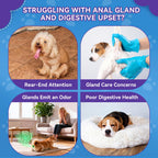 Anal Gland Chews for Dogs, No Scoot for Dogs, Pumpkin Fiber, 200 Soft Chews