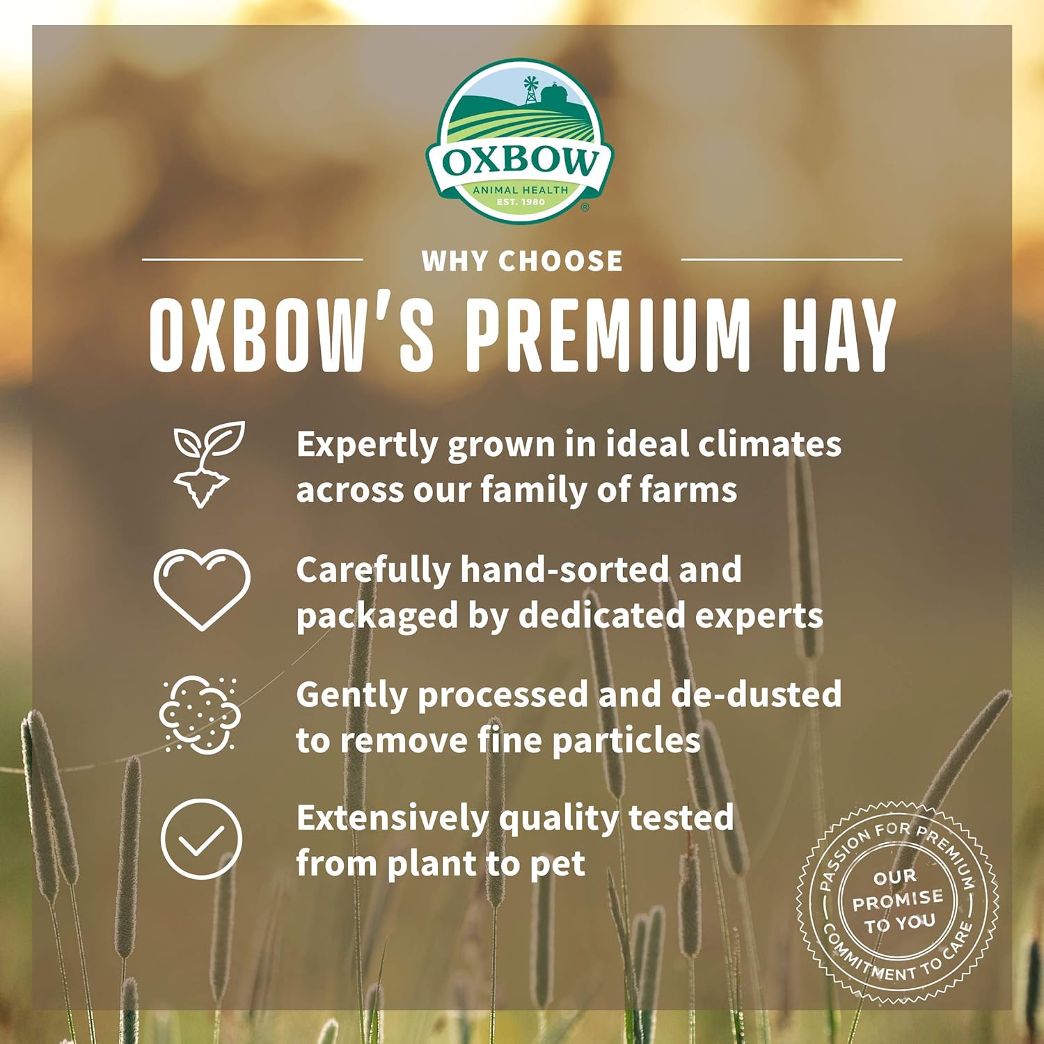 Buy now Oxbow Oat Hay, Rabbit & Guinea Pig Hay, High Fiber for Digestive Health, Grown in the USA, Veterinarian Recommended Small Pet Supplies, for Rabbits, Guinea Pigs, & Chinchillas, 15 oz. at indiglob india