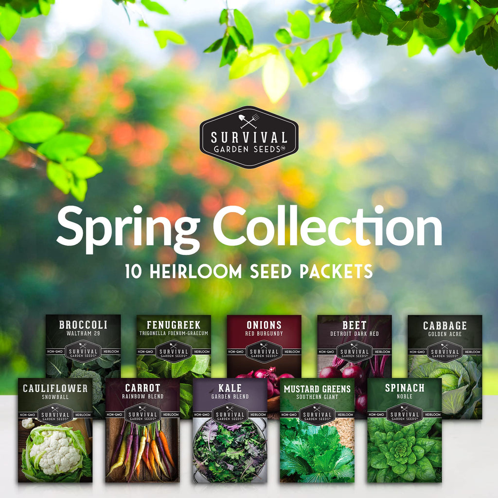 Cool Season Vegetable Seeds Variety Pack for Planting