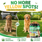 Dog Urine Neutralizer for Lawn, Green Grass Chews for Dogs, 200 Ct, Chicken